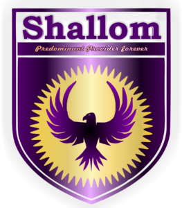 cropped-Shallom-logo.png
